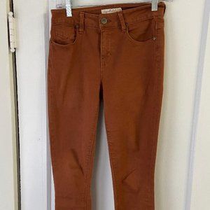 Unpublished Burnt Orange Pants, Size 25